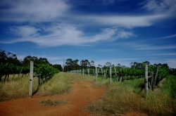 sg208626_edit